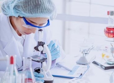 Liliecii ar putea deține secretul evolutiv pentru învingerea cancerului