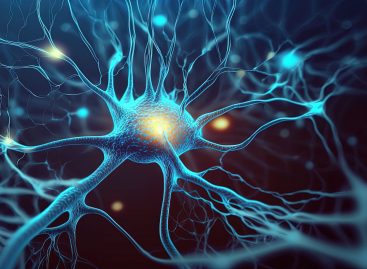 Un nou tip de neuron, asociat cu predispoziția pentru Parkinson