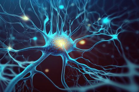 Un nou tip de neuron, asociat cu predispoziţia pentru Parkinson