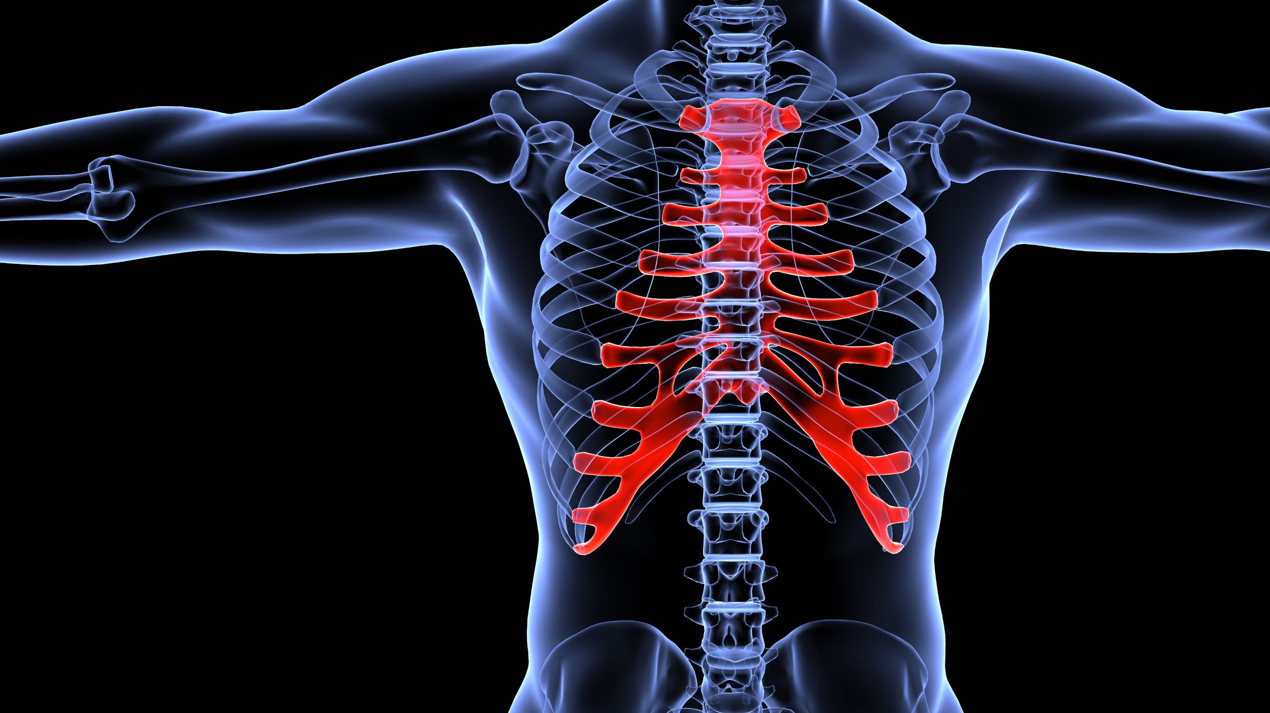 Noi dovezi sugerează că sănătatea oaselor este legată de microbiomul intestinal