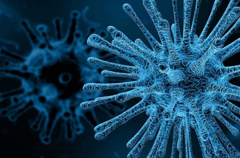 Statele Unite închid „discret” un controversat program de cercetare a virusurilor sălbatice, pe fondul temerilor legate de siguranță