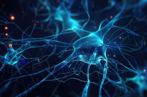 Cercetătorii au identificat un biomarker care poate prezice dacă neuronii se vor regenera sau nu