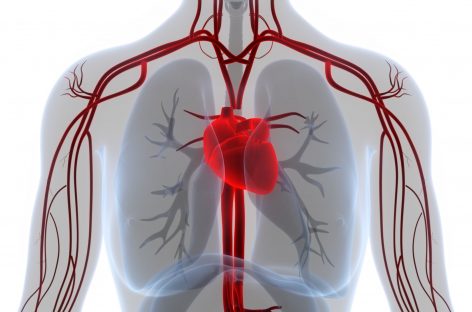 Cercetătorii propun un nou tratament pentru insuficienţa cardiacă, ce vizează activitatea hormonală anormală