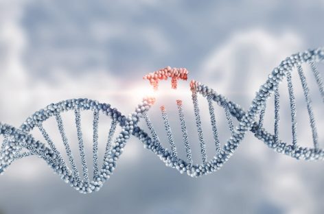 Folosind instrumente CRISPR de ultimă generaţie, oamenii de ştiinţă au creat o hartă moleculară fără precedent a răspunsului imunitar uman