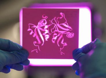 O proteină care luptă împotriva infecțiilor fungice ar putea ajuta la tratarea bolilor autoimune severe și a cancerului