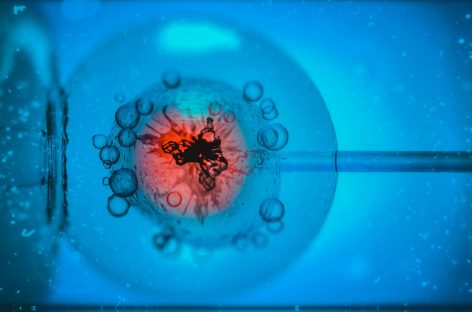 O nouă tehnică permite examinarea genetică completă a embrionilor cu un singur test