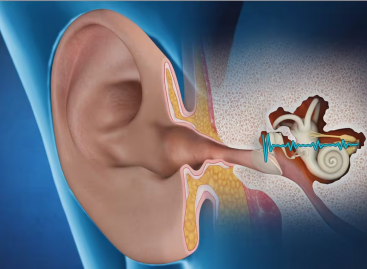 Oamenii de știință au descoperit o legătură între tinitus și degenerarea nervilor auditivi