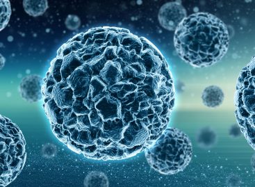 Un nou tip de anticorp se arată promițător împotriva mai multor forme de virus gripal