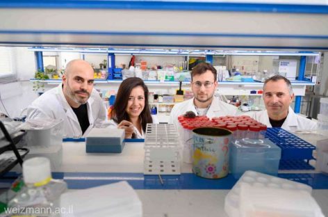 Un nou tip de imunoterapie împotriva cancerului, dezvoltată de cercetători israelieni