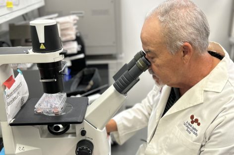Compus farmaceutic nou împotriva leucemiei și limfomului, identificat de oamenii de știință