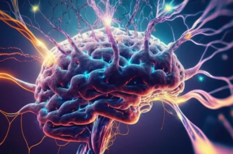 Oamenii de ştiinţă americani au descoperit un potenţial medicament care ar putea preveni Alzheimer