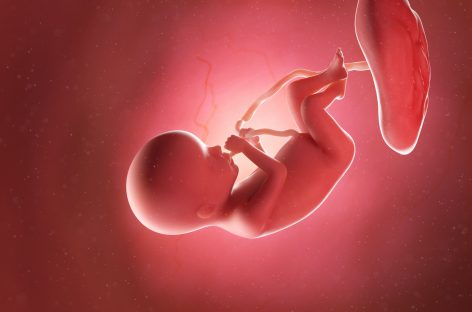 Un nou studiu leagă nivelurile de oxigen din placentă de dezvoltarea creierului fetal