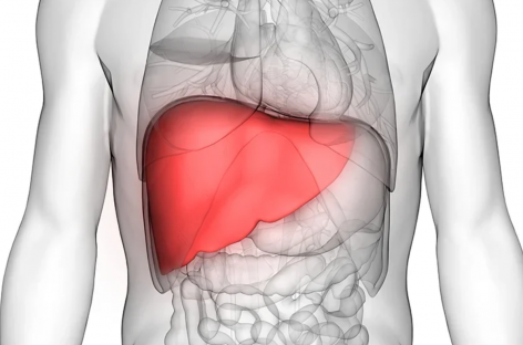 Tuberculoza modifică metabolismul ficatului şi ar putea favoriza diabetul, au descoperit cercetătorii