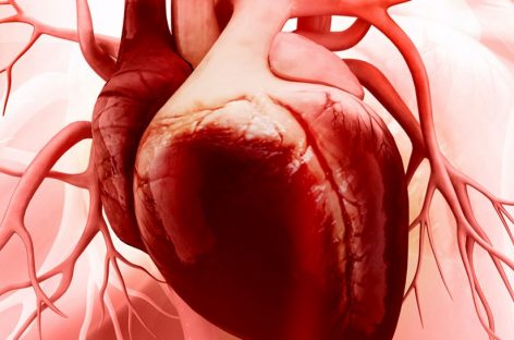 Medicii cardiologi, pacienţii şi reprezentanţii sportivilor cer măsuri concrete de diagnostic şi tratament pentru cardiomiopatii