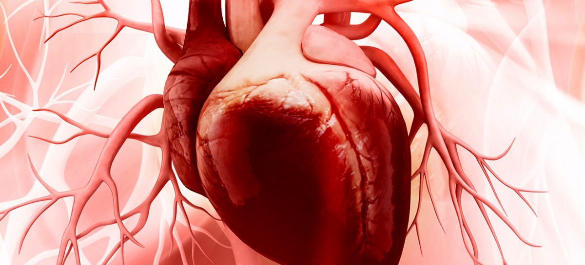 Medicii cardiologi, pacienţii şi reprezentanţii sportivilor cer măsuri concrete de diagnostic şi tratament pentru cardiomiopatii