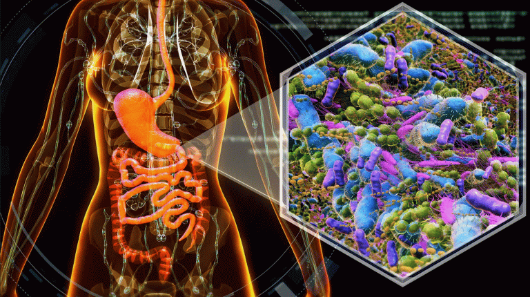 Un instrument care măsoară sănătatea microbiomului intestinal al unei persoane, dezvoltat de cercetători