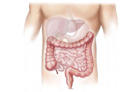 Noi dovezi leagă microbiomul intestinal de bolile cronice