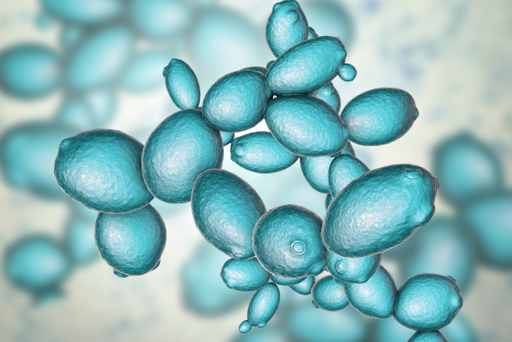 O imunoterapie orală a micşorat tumorile gastrointestinale în testele preclinice