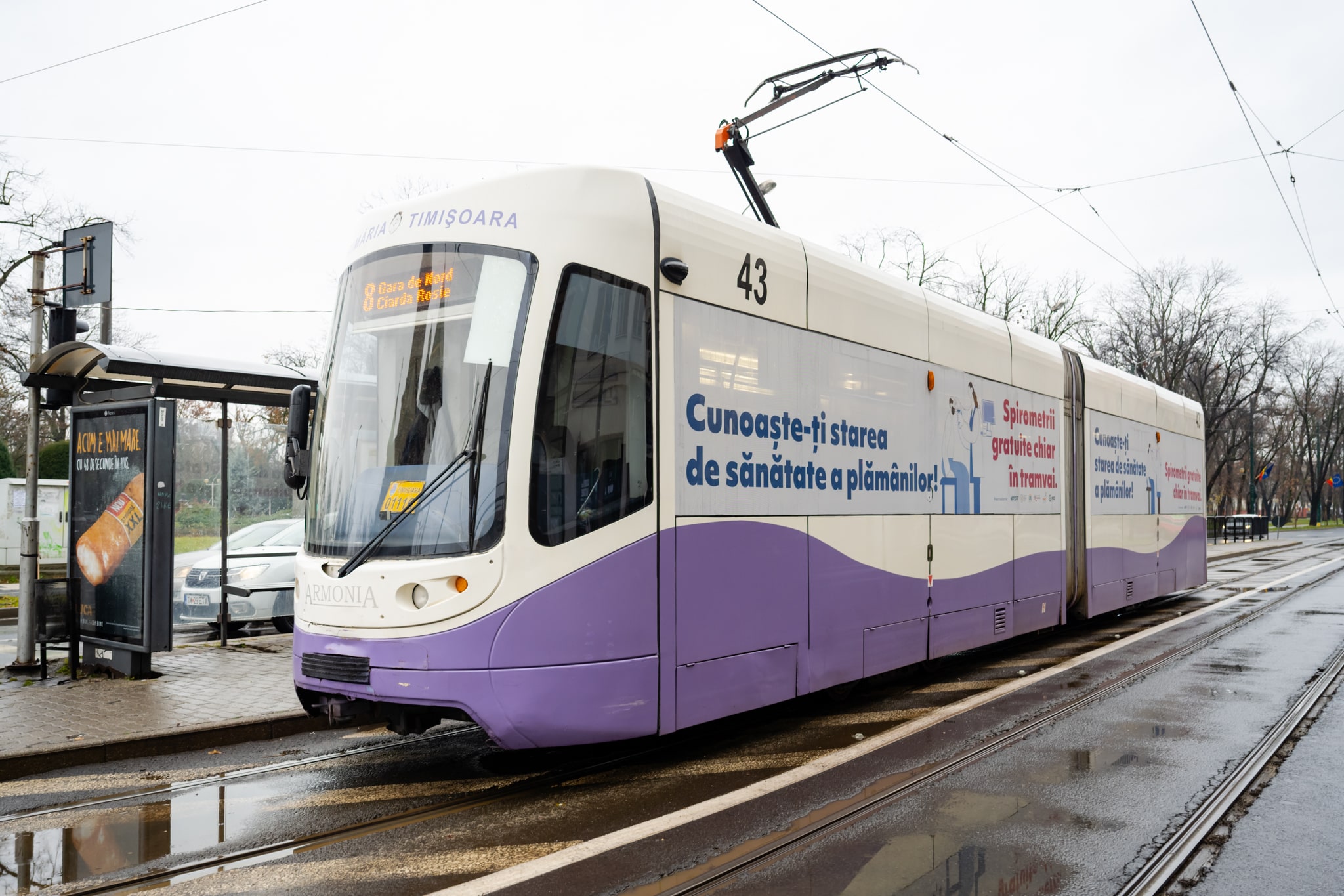 Campania #GrijădePlămâni continuă în Timişoara:  Spirometrii gratuite în tramvaiul dedicat sănătăţii plămânilor, pe liniile 8 şi 9